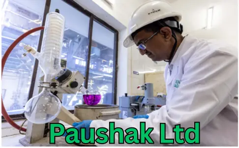 Paushak Ltd share price target 2025